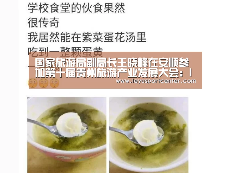国家旅游局副局长王晓峰在安顺参加第十届贵州旅游产业发展大会：leyu(图3)