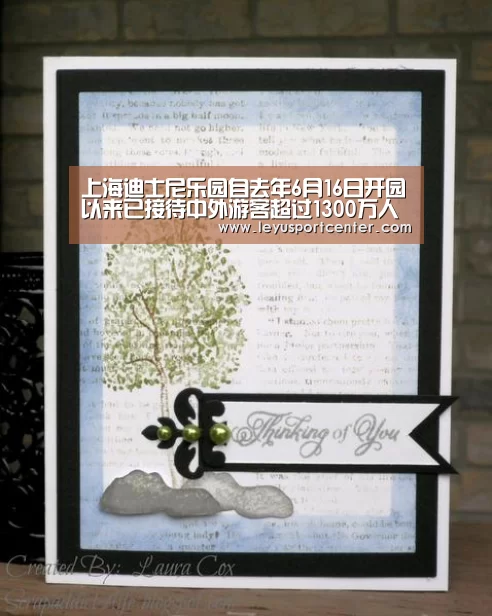 上海迪士尼乐园自去年6月16日开园以来已接待中外游客超过1300万人次:乐鱼官网(图2) 乐鱼棋牌官网