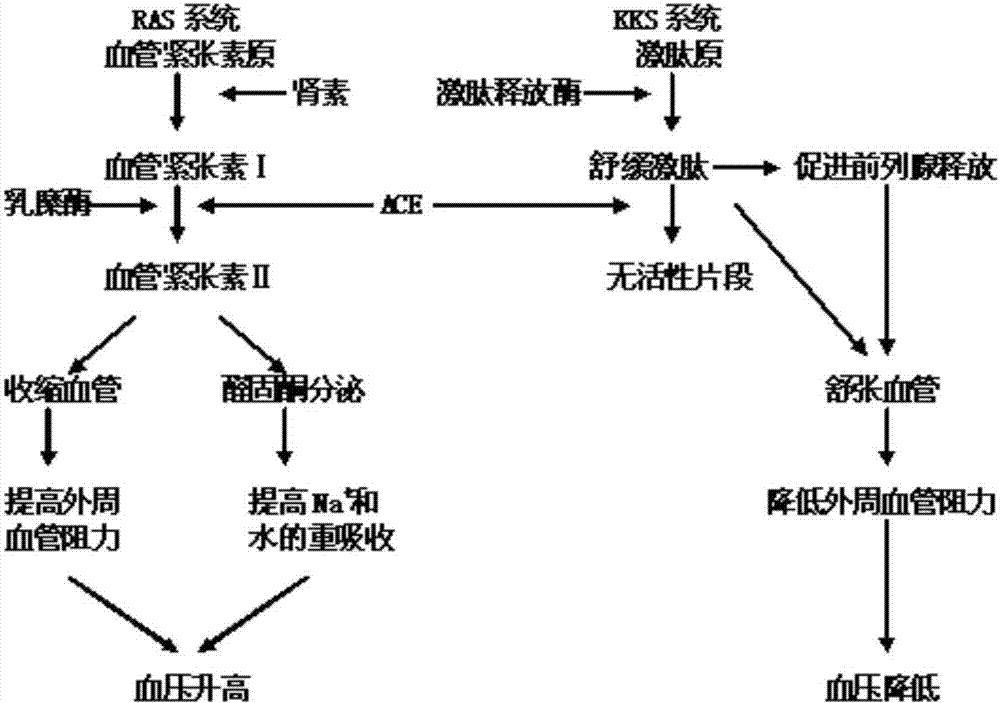 乐鱼官网:海洋中有2000万吨黄金 价值771万亿美元(图3) 乐鱼棋牌官网