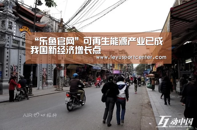 “乐鱼官网”可再生能源产业已成我国新经济增长点(图4) 乐鱼登录