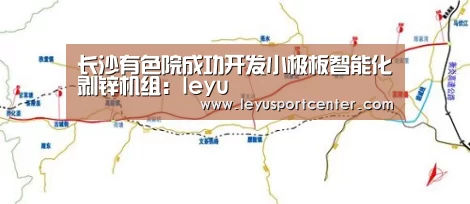 长沙有色院成功开发小极板智能化剥锌机组:leyu(图2) 乐鱼官网