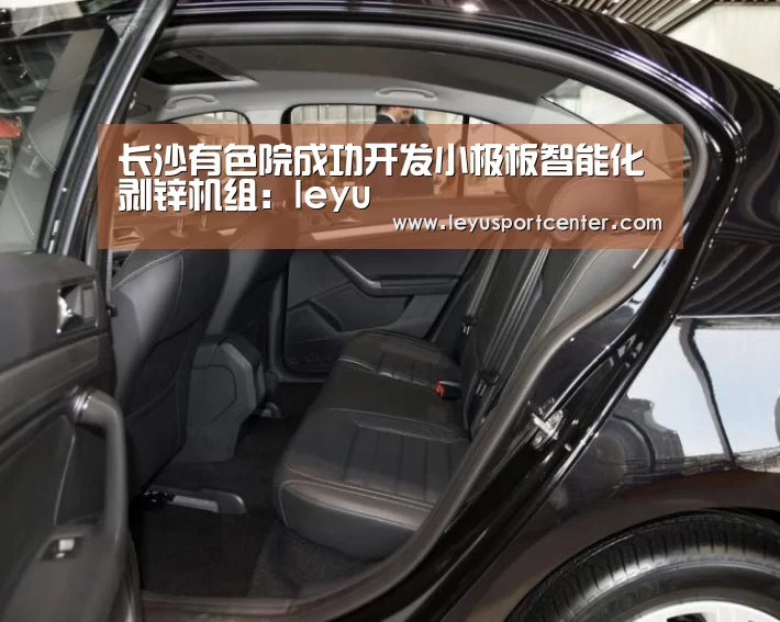长沙有色院成功开发小极板智能化剥锌机组:leyu(图3) 乐鱼棋牌官网